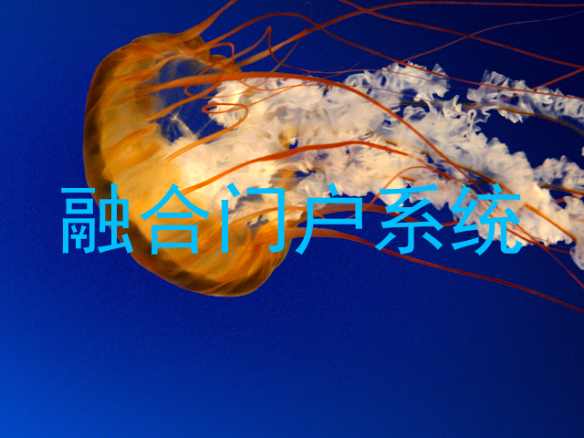 融合门户系统