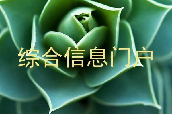 综合信息门户