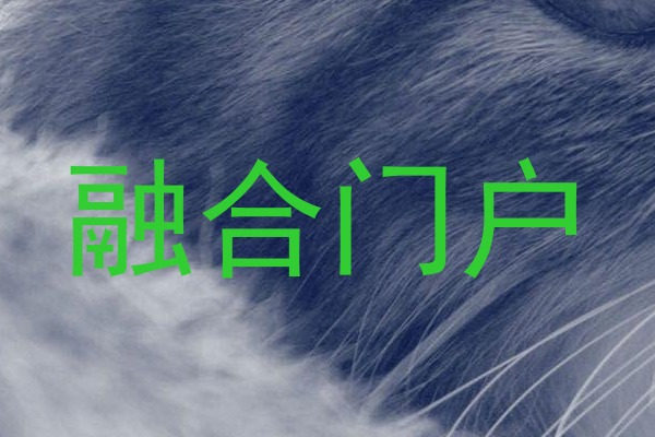 融合门户