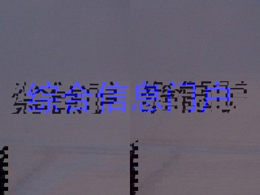 综合信息门户
