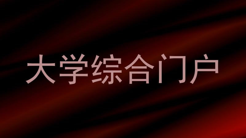 大学综合门户