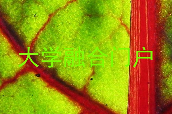 大学融合门户