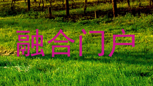 融合门户