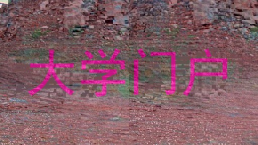 大学门户