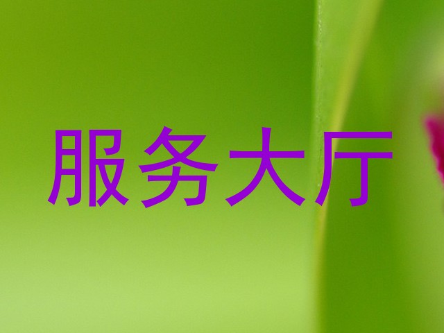 服务大厅