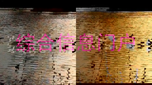 综合信息门户