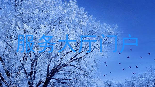 服务大厅门户