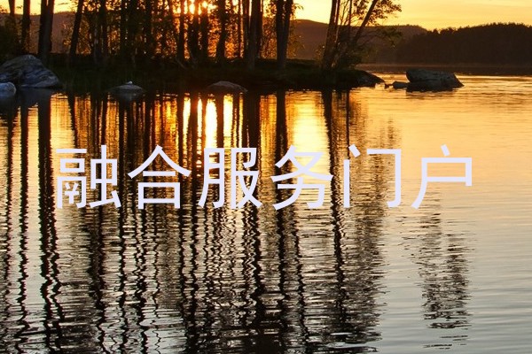 融合服务门户