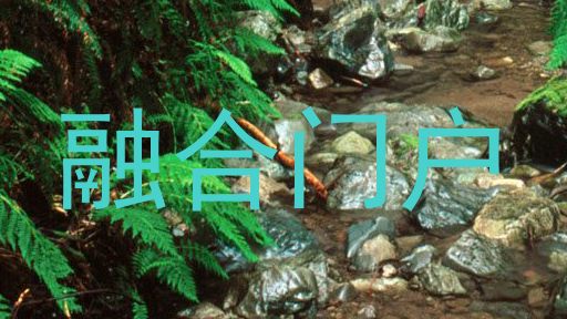 融合门户