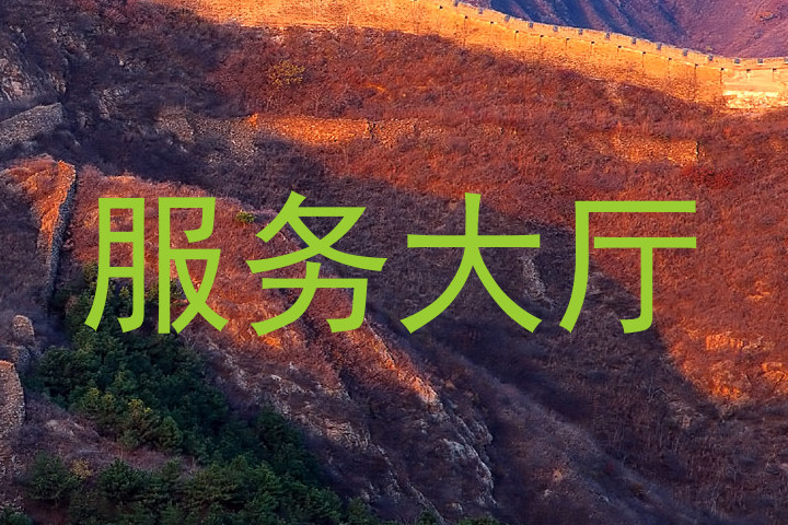 服务大厅