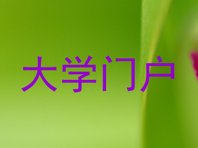 大学门户