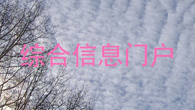 综合信息门户