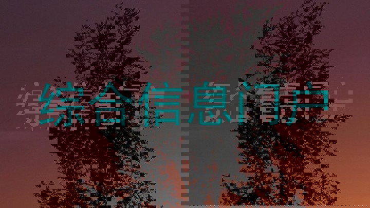 综合信息门户