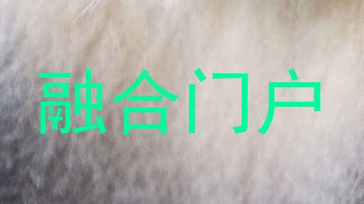 融合门户