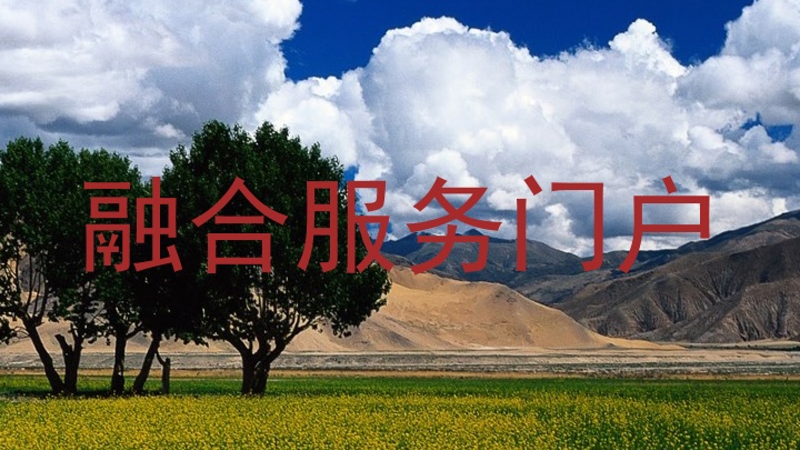 融合服务门户