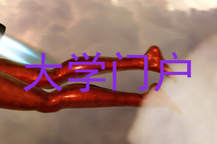 大学门户