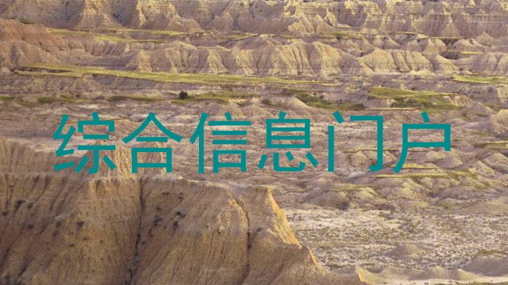 综合信息门户