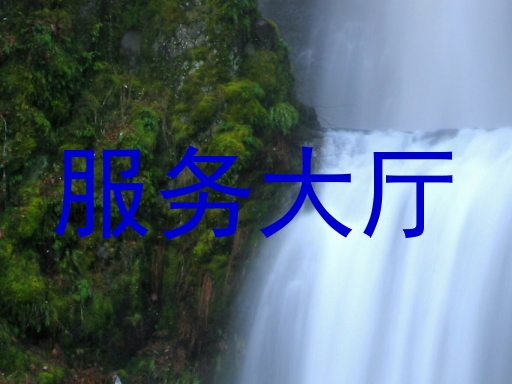 服务大厅