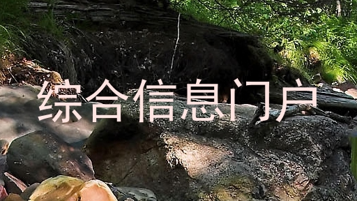 综合信息门户