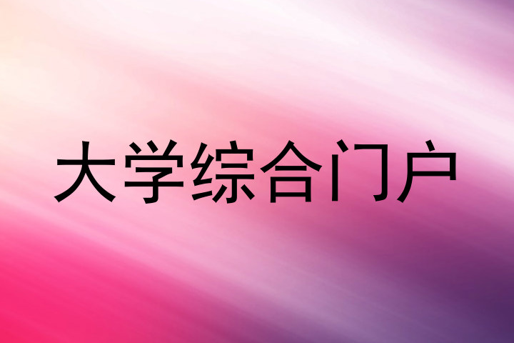 大学综合门户
