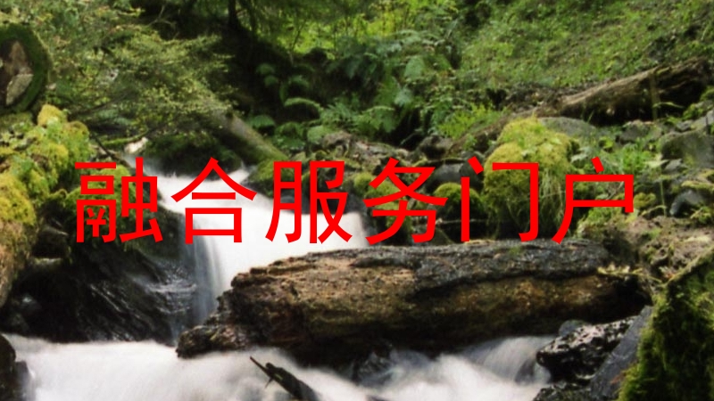 融合服务门户