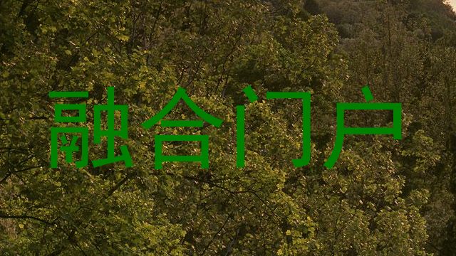 融合门户
