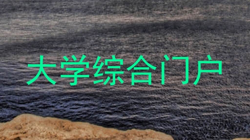 大学综合门户