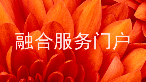 融合服务门户