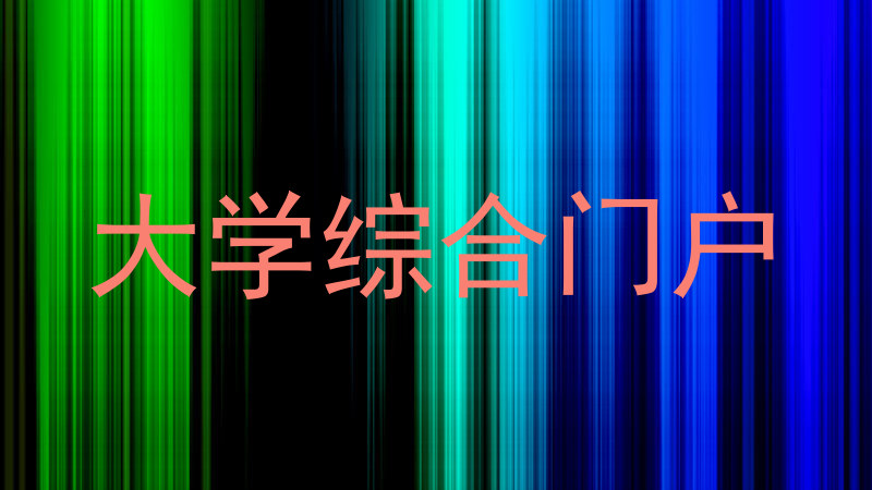 大学综合门户