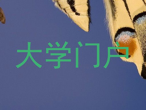 大学门户