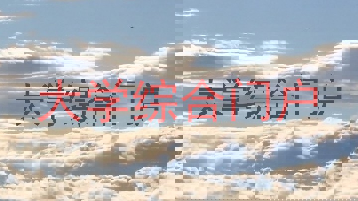 大学综合门户