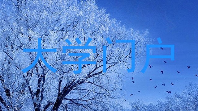 大学门户