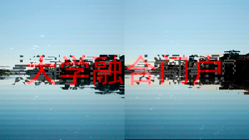 大学融合门户