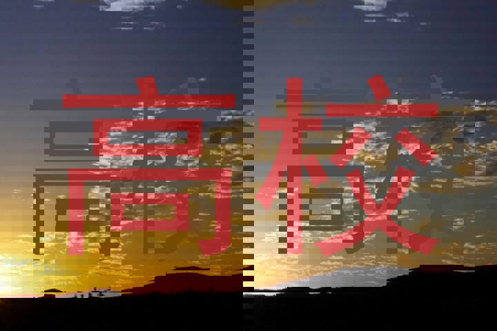 高校