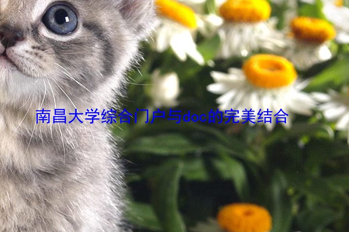 南昌大学综合门户与doc的完美结合