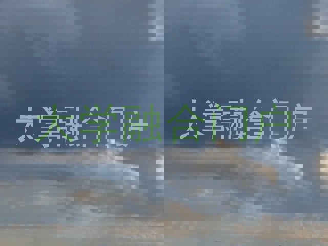 大学融合门户