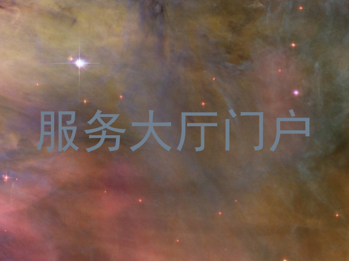 服务大厅门户