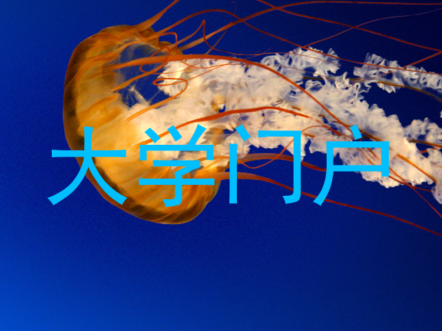 大学门户