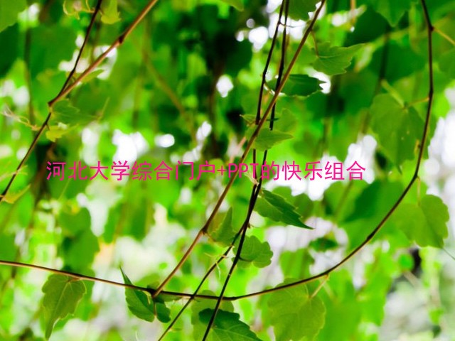 河北大学综合门户+PPT的快乐组合