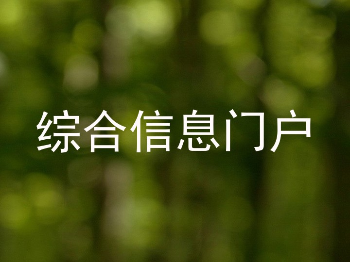 综合信息门户