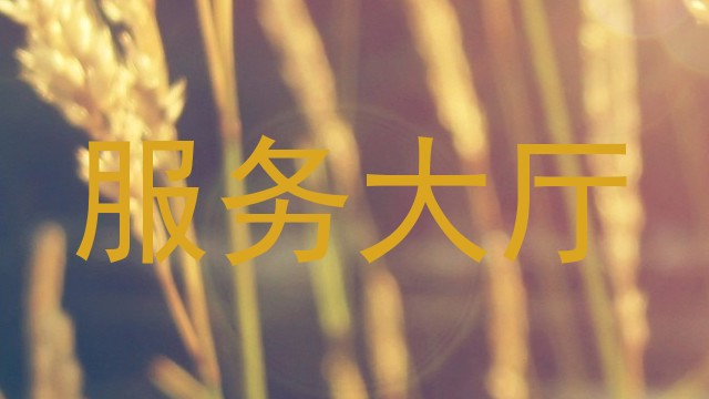 服务大厅