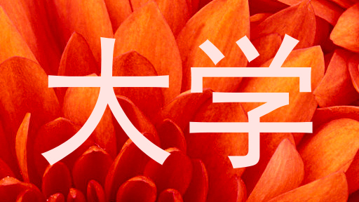 大学