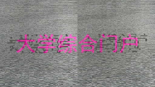 大学综合门户
