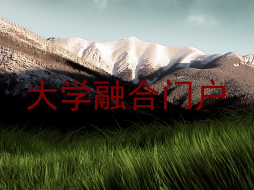 大学融合门户