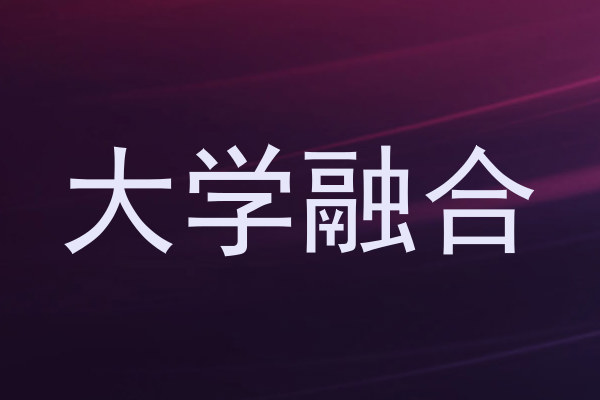 大学融合