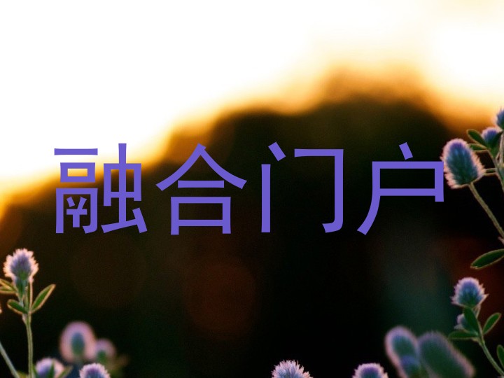 融合门户