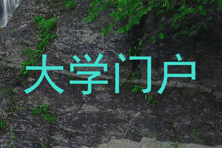 大学门户