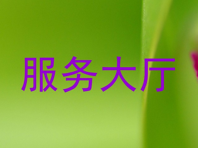 服务大厅