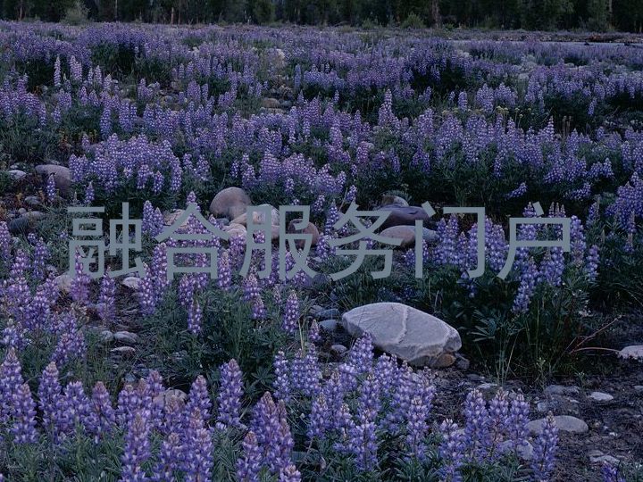 融合服务门户