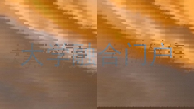 大学融合门户